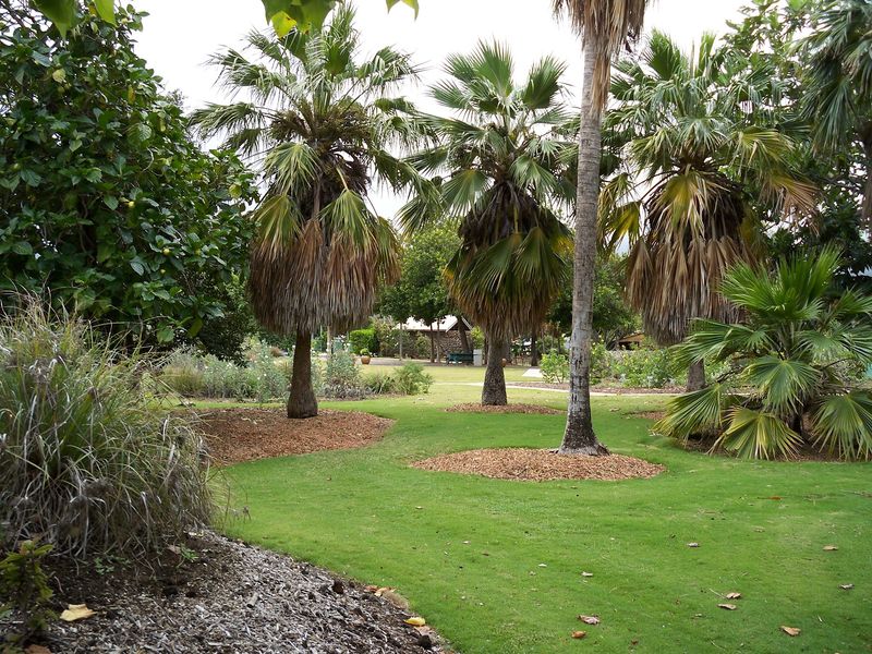 Maui Nui Botanical Gardens, Kahului, Maui