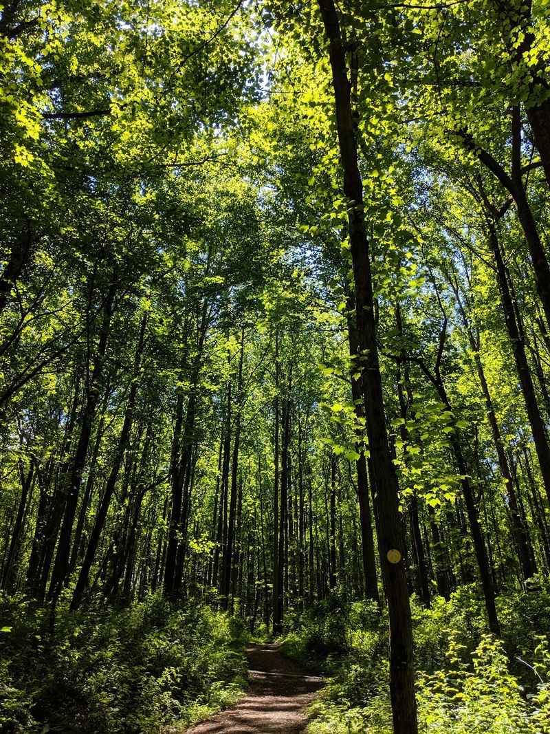 Meadows, Woods, And Wetlands In One Place Meadows, Woods, And Wetlands In One Place