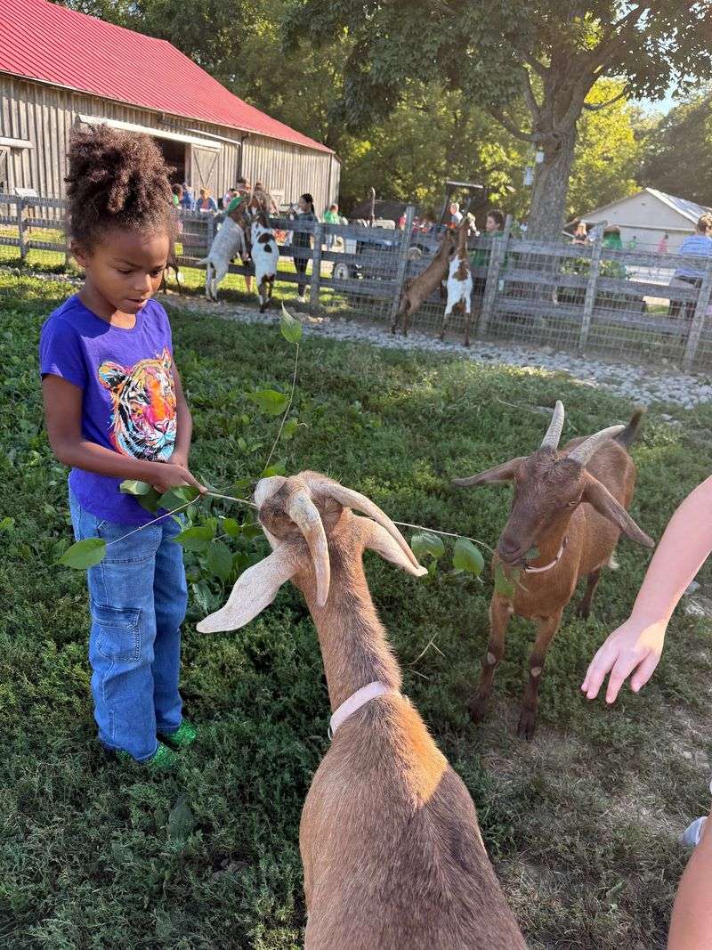 Meet The Friendly Farm Animals