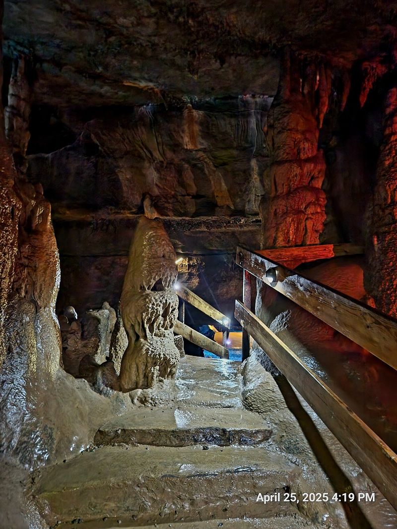 Meeting The Cave Critters