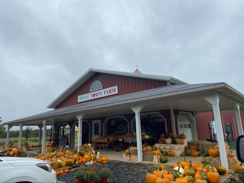 Melick's Town Farm - Califon Orchards, Califon, NJ