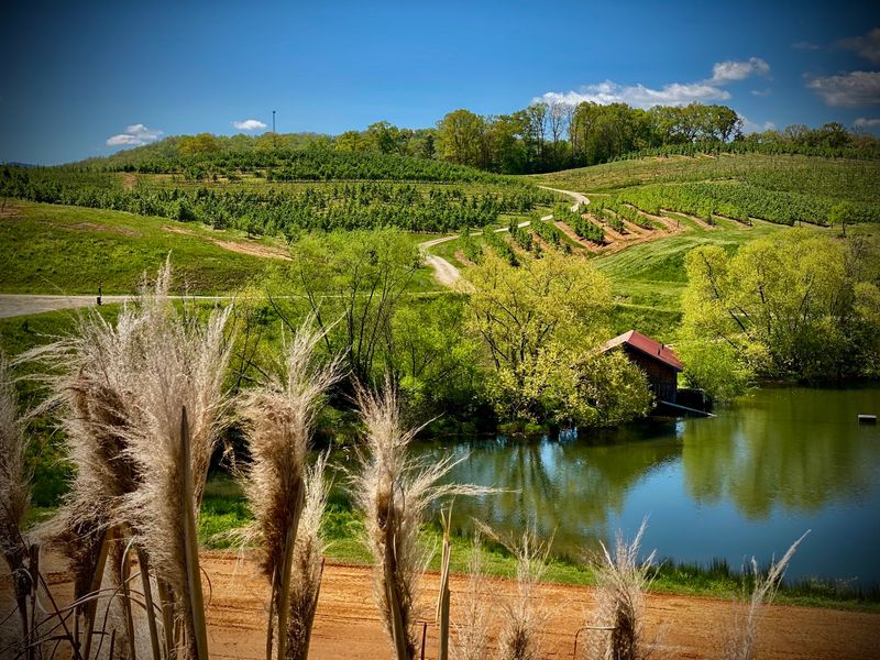 Mercier Orchards, Blue Ridge, Georgia