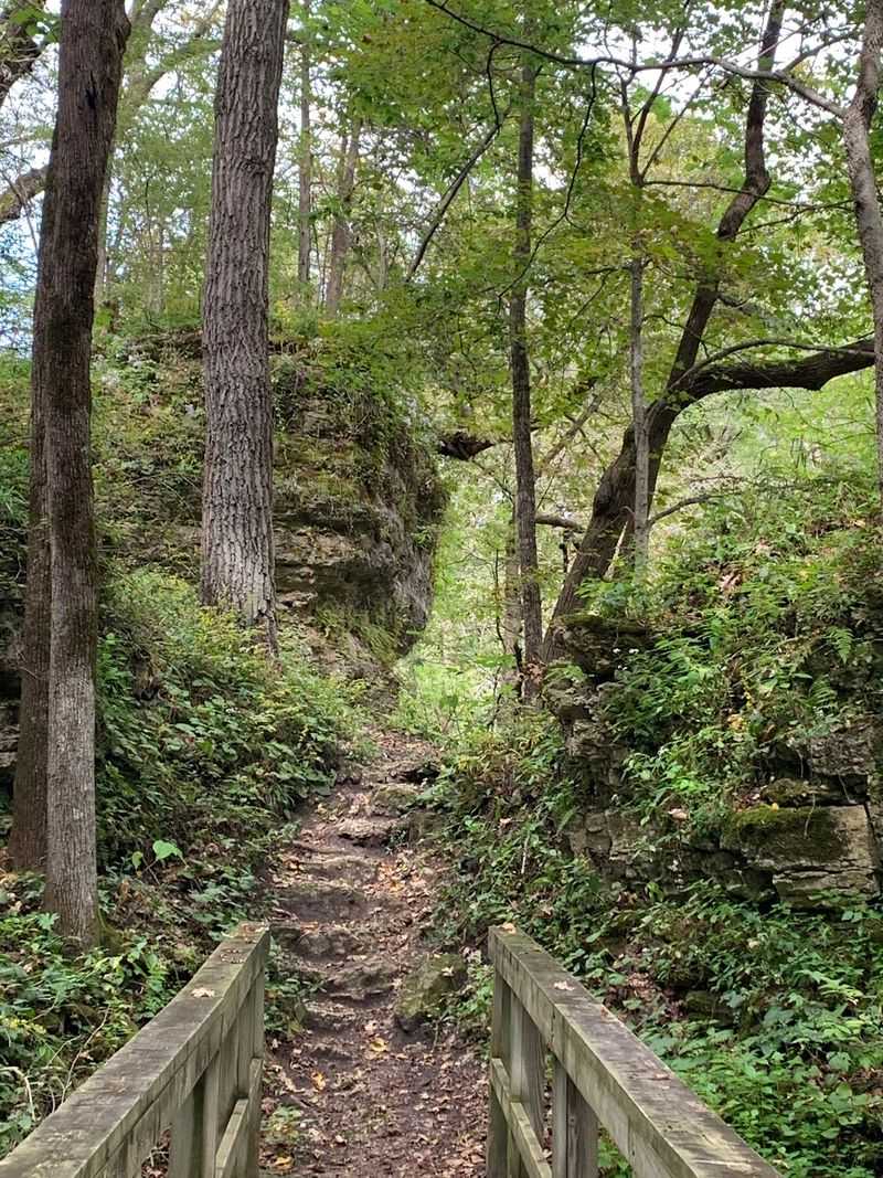 Miles Of Trails For Every Pace