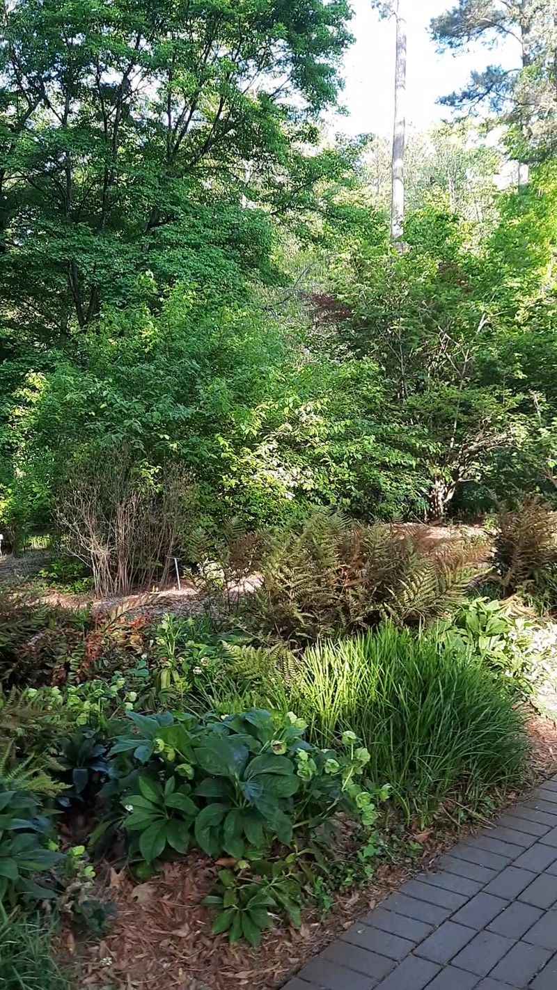 Miles of Trails Made for Wandering