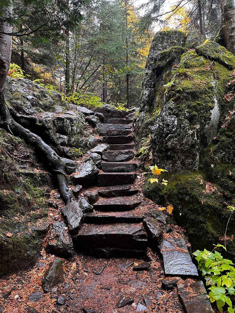 Miles of Well-Marked Trails