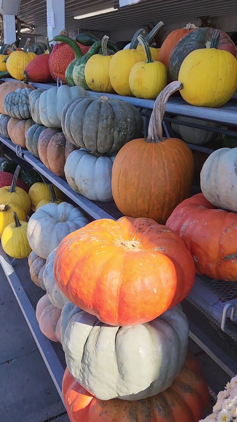 Miller Farms, Clinton, MD