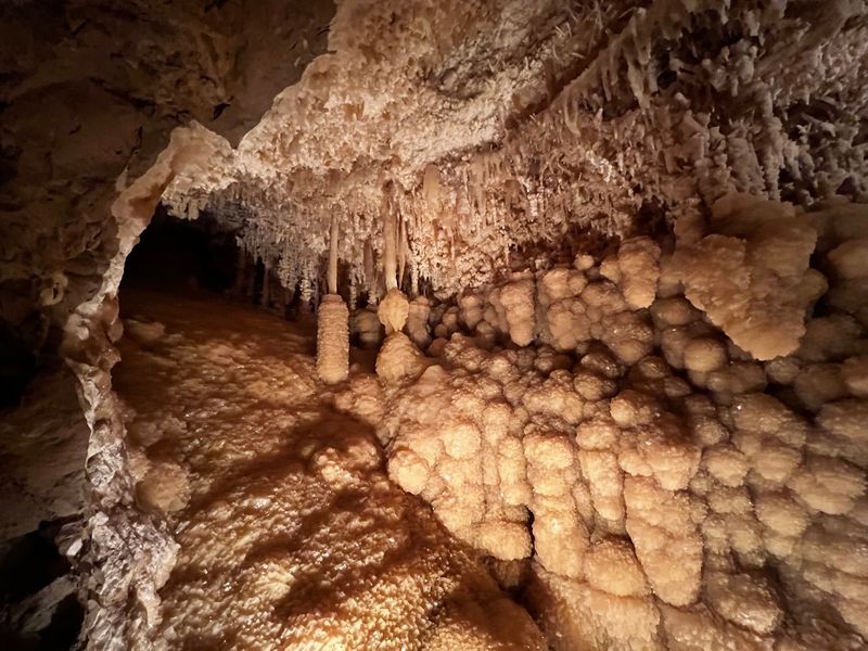 Millions Of Years In The Making