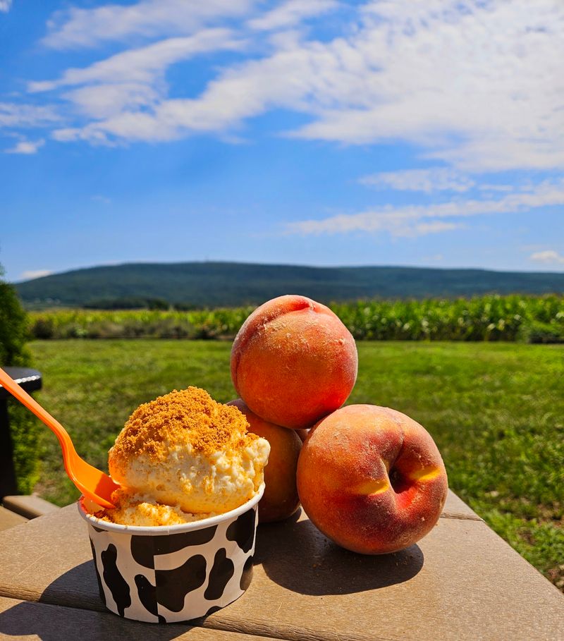 Misty Meadows Farm Creamery, Smithsburg, MD