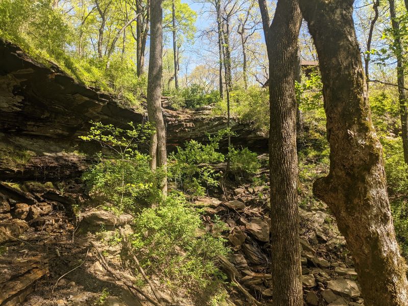Monte Sano State Park, Huntsville, AL