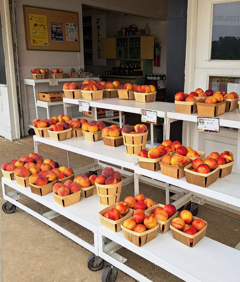 Mood's Farm Market, Mullica Hill, NJ