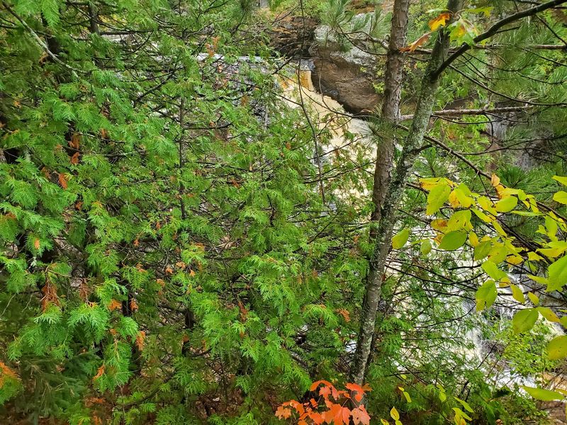 More Falls Waiting Nearby