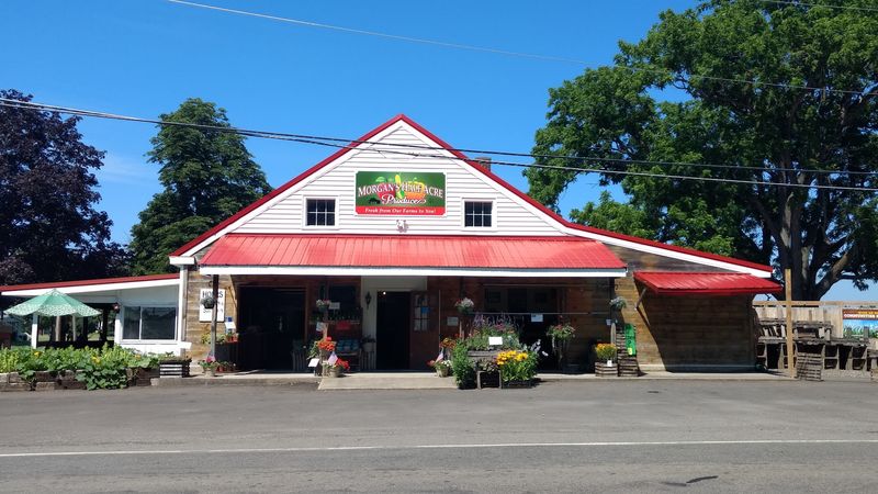 Morgan's Half Acre Produce, Auburn, NY