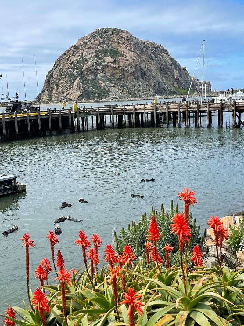 Morro Bay, California
