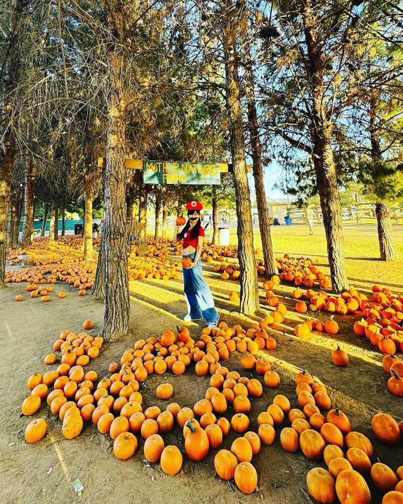 Mother Nature's Farm, Gilbert, AZ