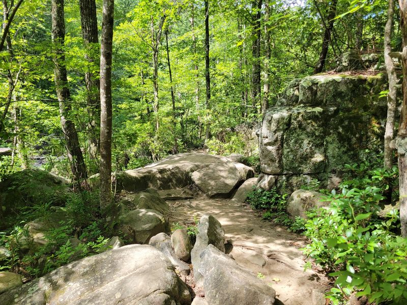 Mountain Bike Trails That Mean Business Mountain Bike Trails That Mean Business