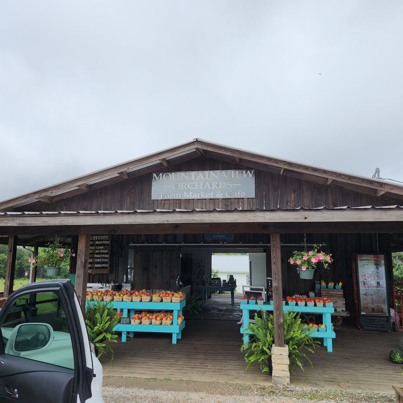 Mountain View Orchard, Mentone, Alabama Mountain View Orchard, Mentone, Alabama