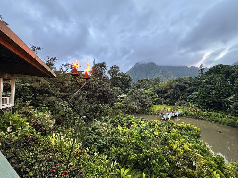 Mountain Views That Steal The Show