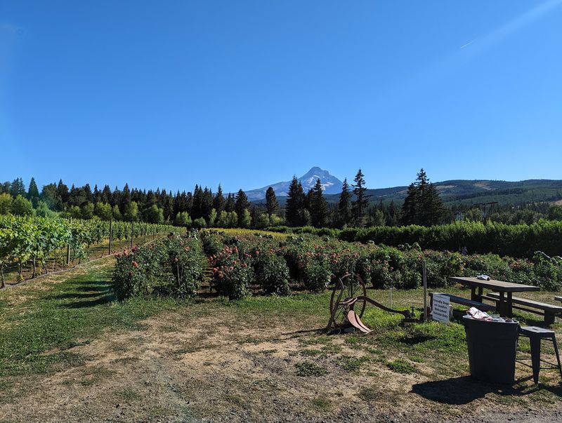 Mt View Orchards, Mt Hood, OR Mt View Orchards, Mt Hood, OR