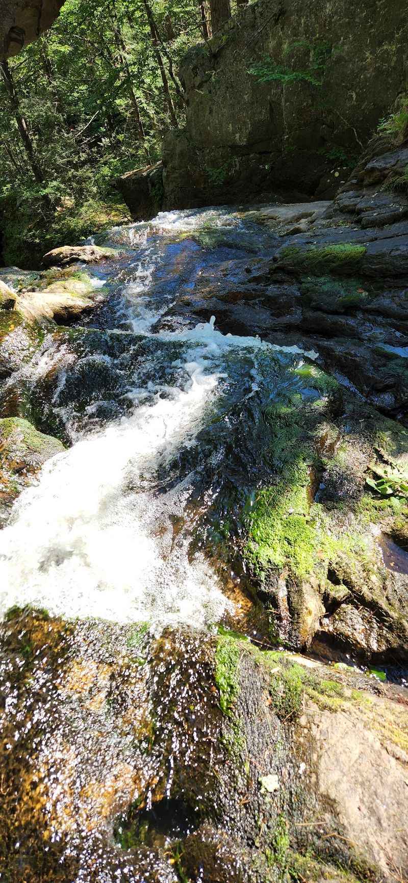 Muddy Patches and Rocky Footing