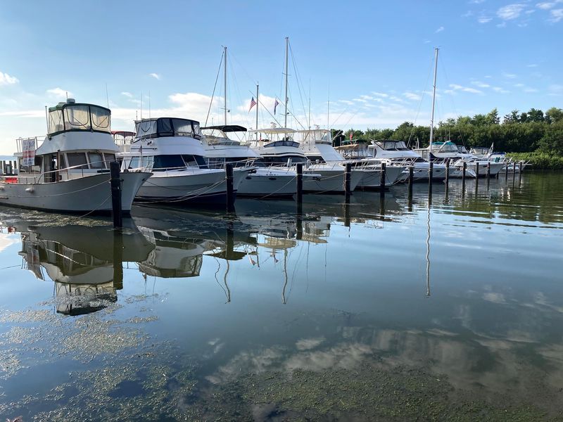 Museums And A Marina Just Off The Path