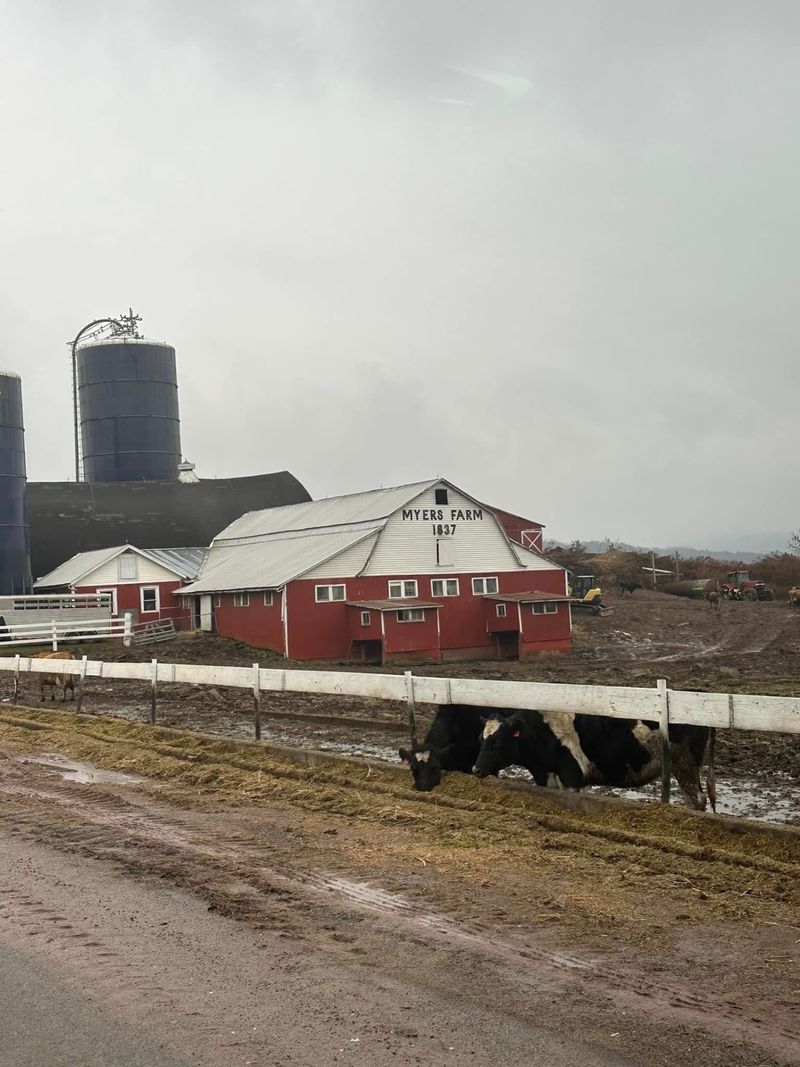 Myers Century Farm, Jeffersonville, NY