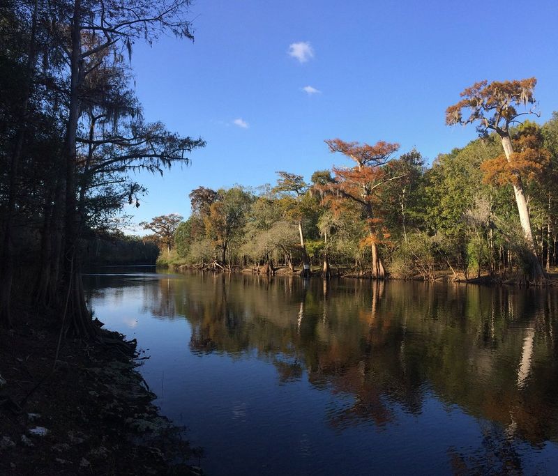 Nature And Wildlife Around Every Bend