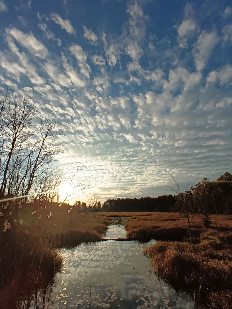 Nature Photography And Quiet Reflection Nature Photography And Quiet Reflection