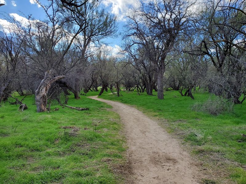 Nature Programs and Ranger-Led Fun