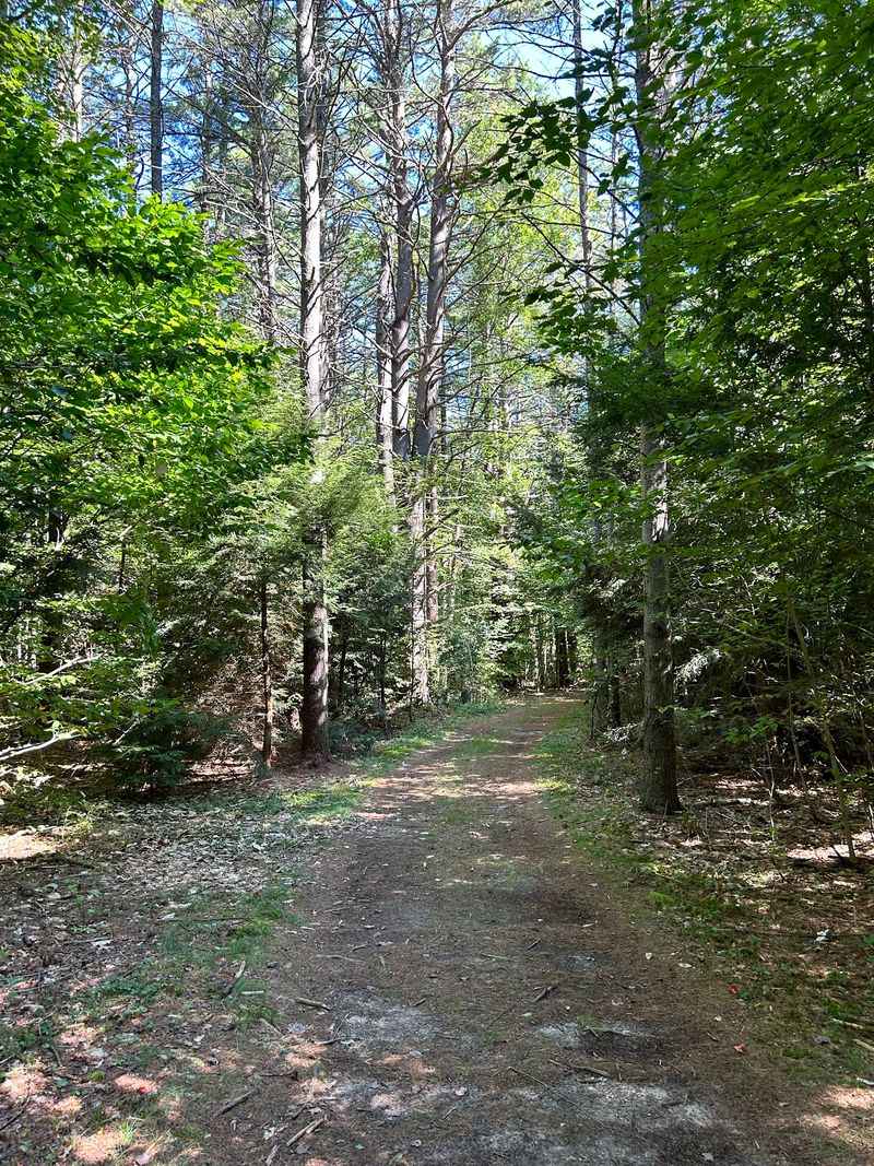 Nature Trails Winding Through The Woods Nature Trails Winding Through The Woods