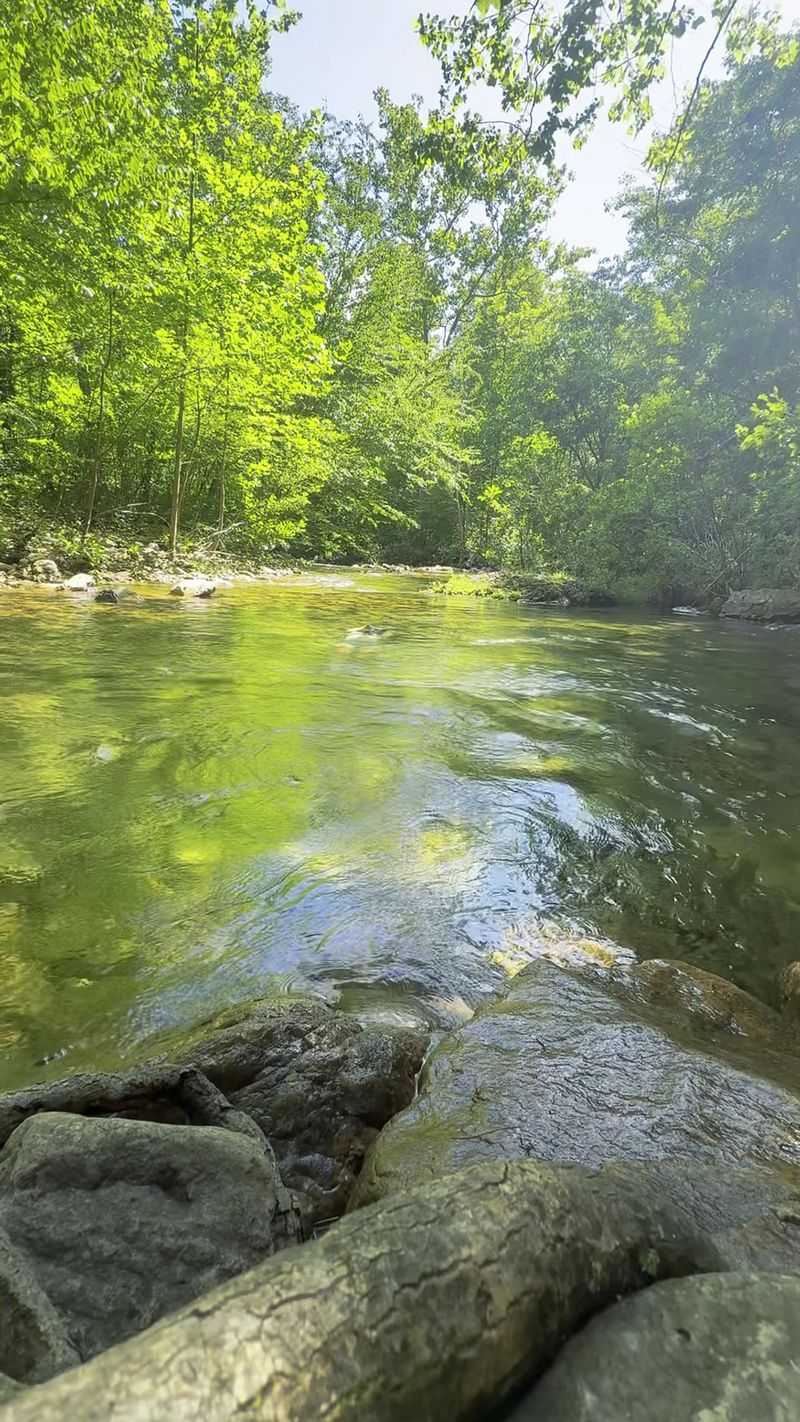 Navigating A Trail That Plays Hide And Seek