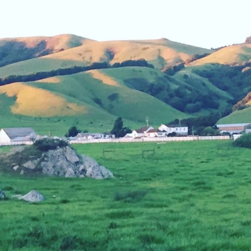Nicasio Valley Cheese Company, Nicasio, CA Nicasio Valley Cheese Company, Nicasio, CA
