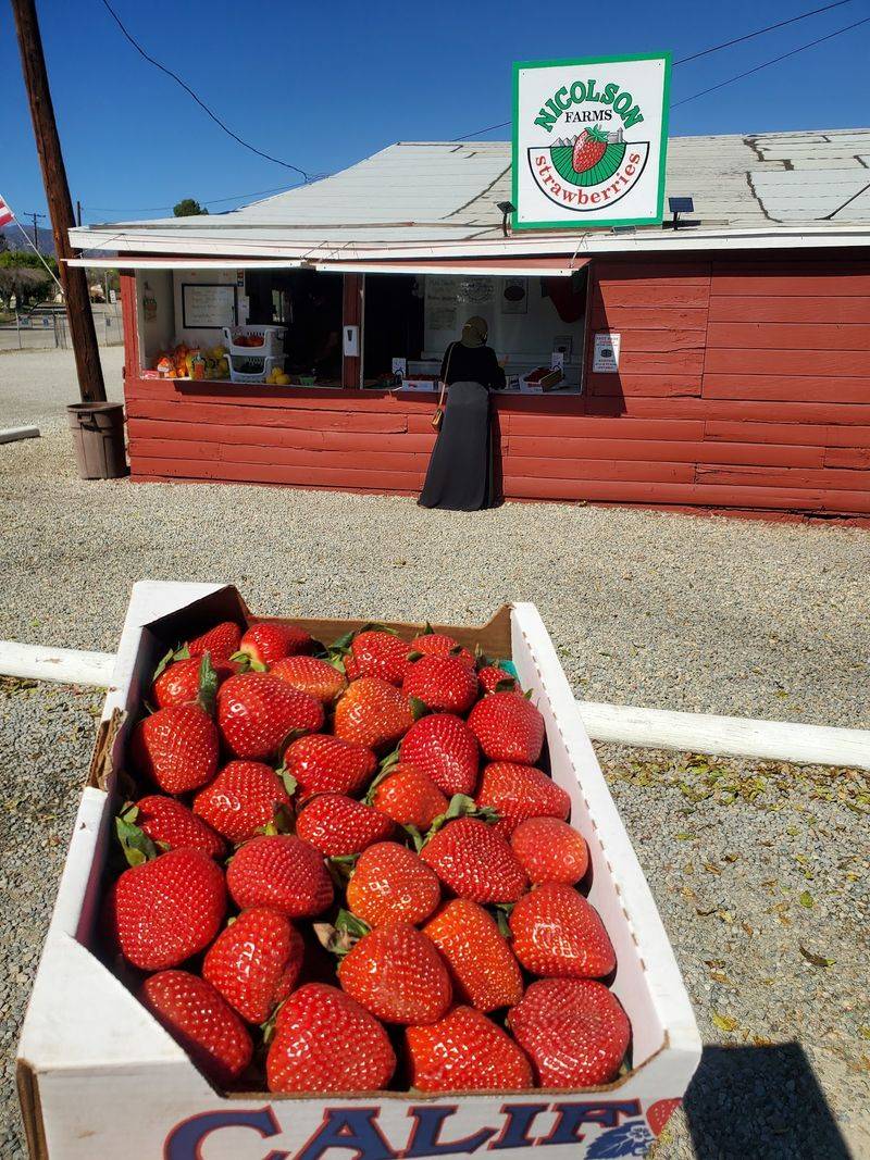 Nicolson Strawberries, Rancho Cucamonga, CA