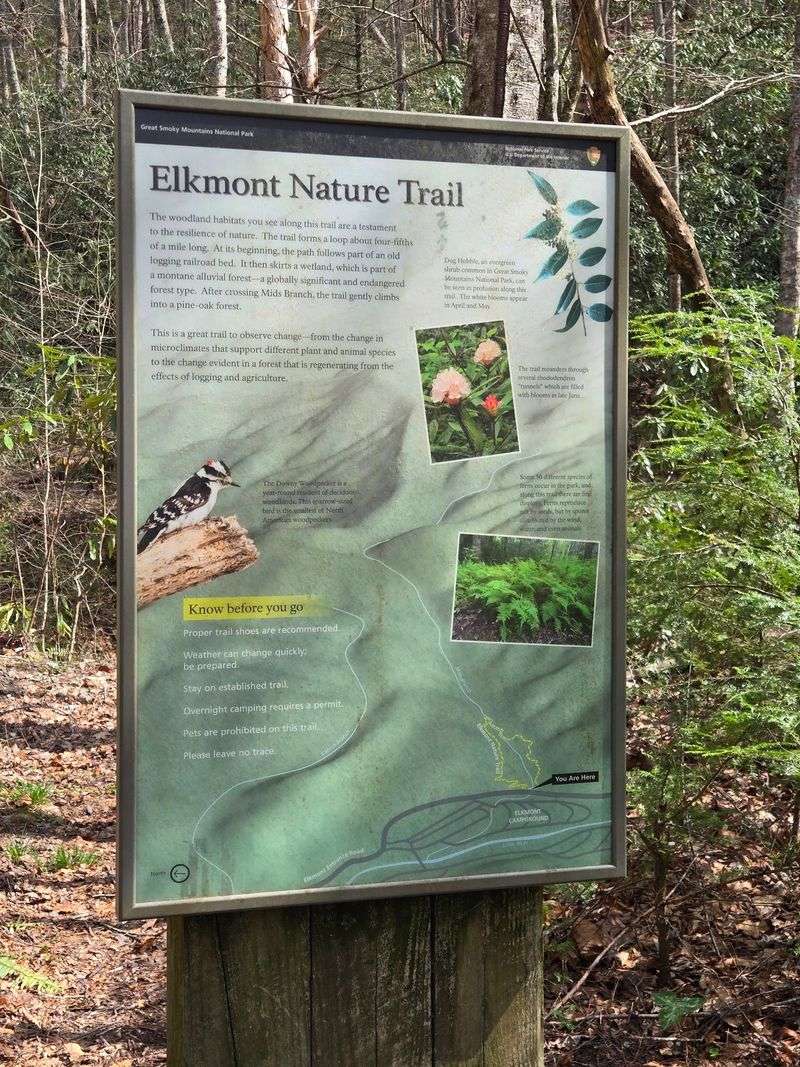 Numbered Posts And A Pocket Brochure