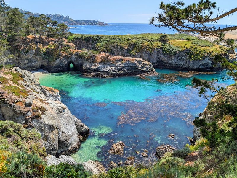 Ocean View Trail, Point Lobos State Natural Reserve, Carmel