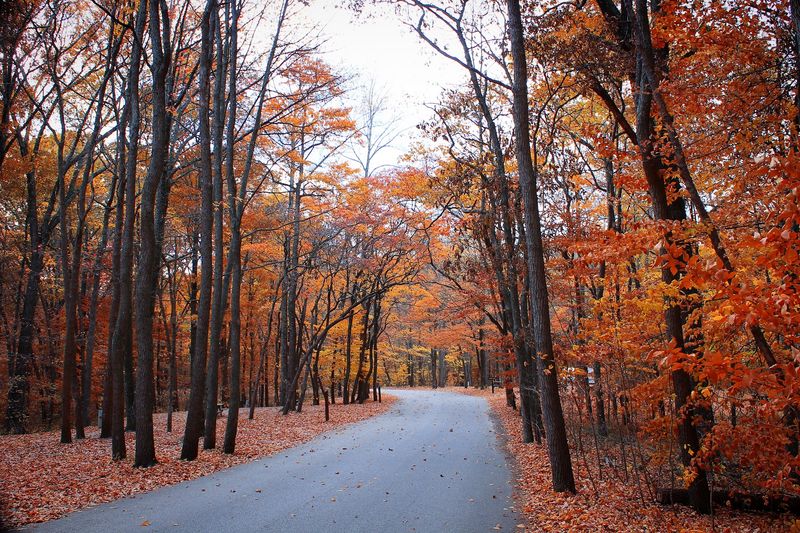 October's Traffic-Stopping Main Event October's Traffic-Stopping Main Event