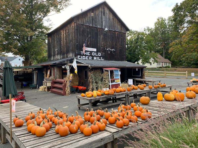 Old Cider Mill, Glastonbury, CT