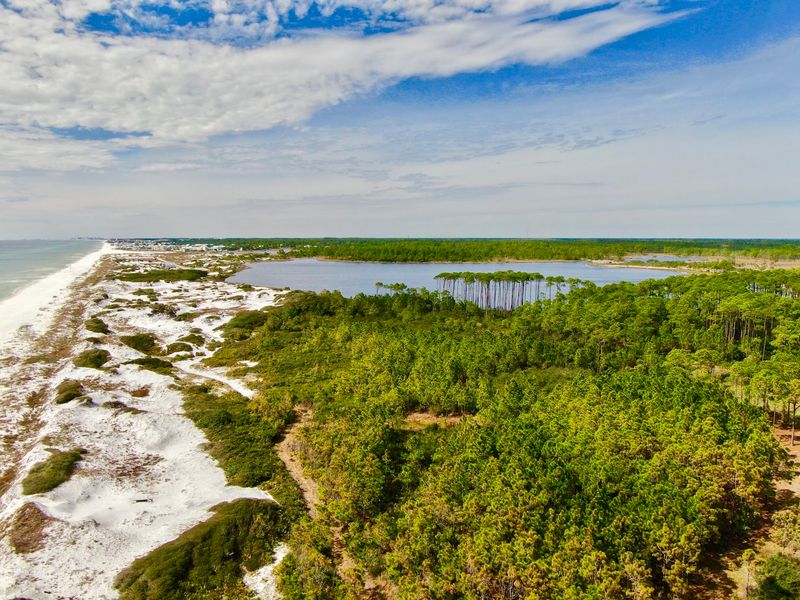 Old Florida, Still Holding Its Ground