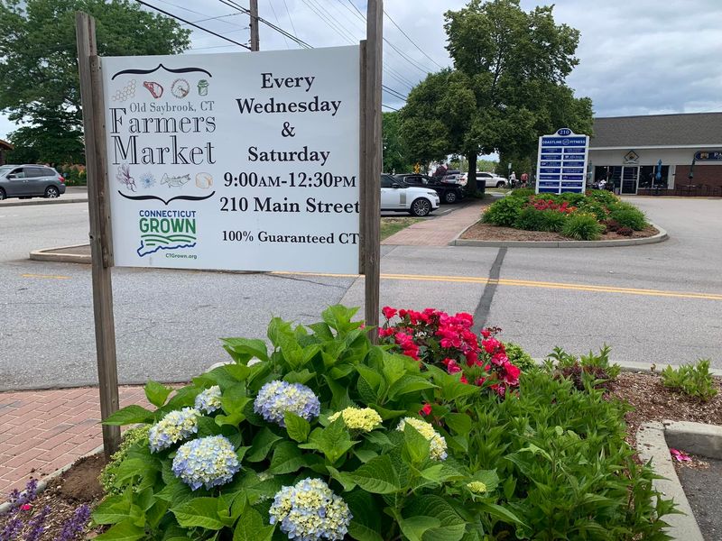 Old Saybrook Farmers Market, Old Saybrook, Connecticut