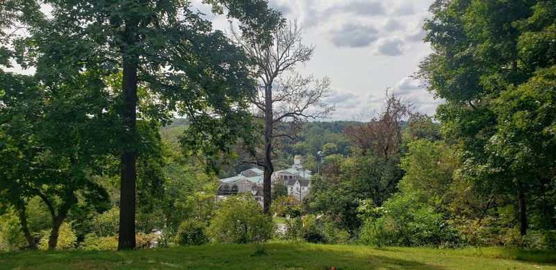 Old Trees and a Town Below