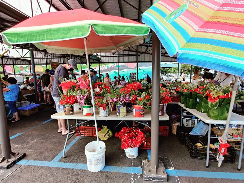 Orchids, Flowers, And Local Color