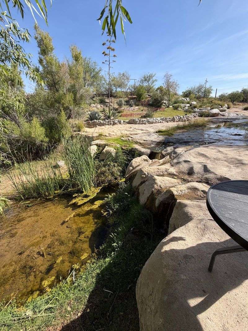 Outdoor Seating That Welcomes Your Dog