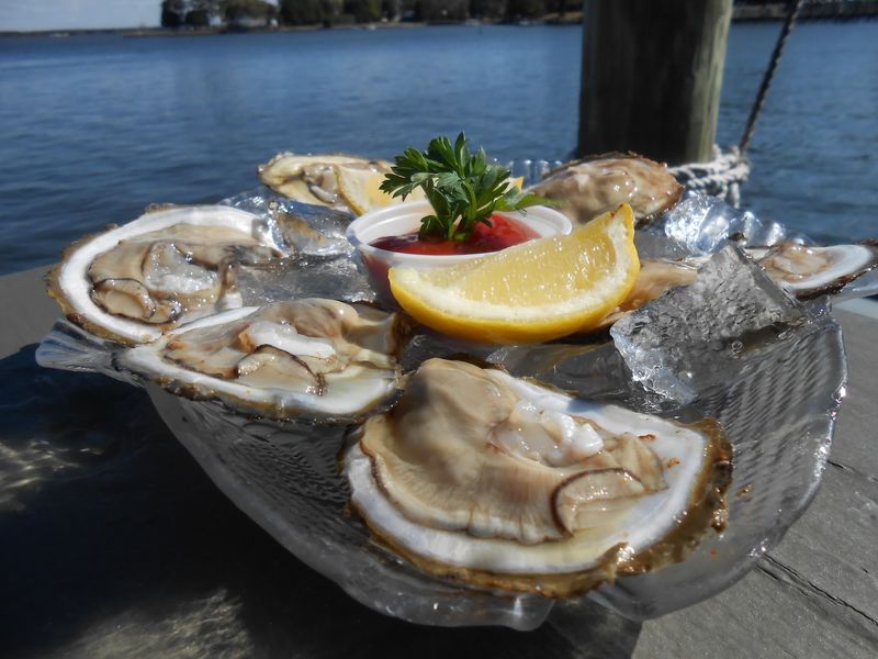 Oysters on the Half Shell by the Water
