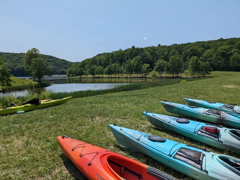 Paddle Boats And Kayaks For Rent