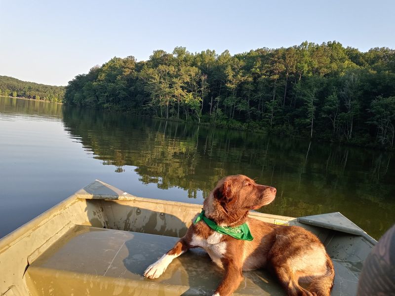 Paddle Boats, Kayaks, And Life On The Water Paddle Boats, Kayaks, And Life On The Water
