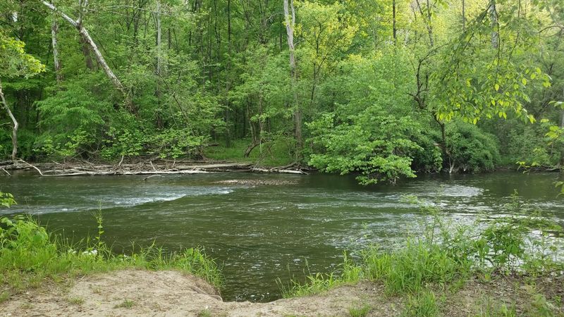 Paddling The Mohican River