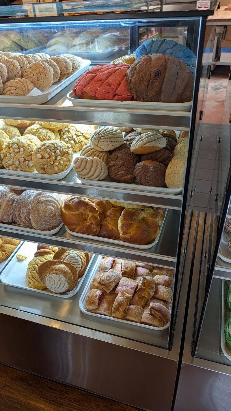 Pan Dulce And The Bakery Case