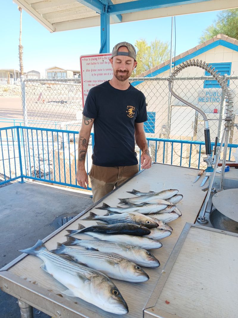 Panfish, Red Ear, and Bragging Rights Panfish, Red Ear, and Bragging Rights