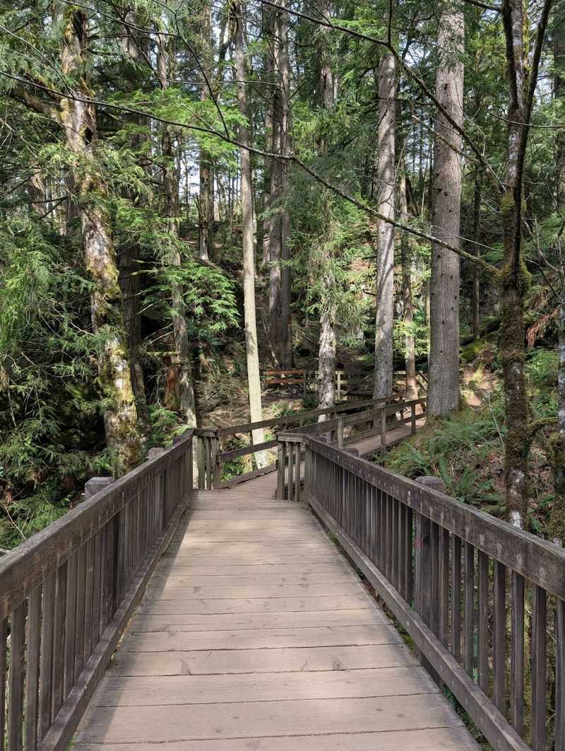 Parking, Passes, and Timing Your Visit
