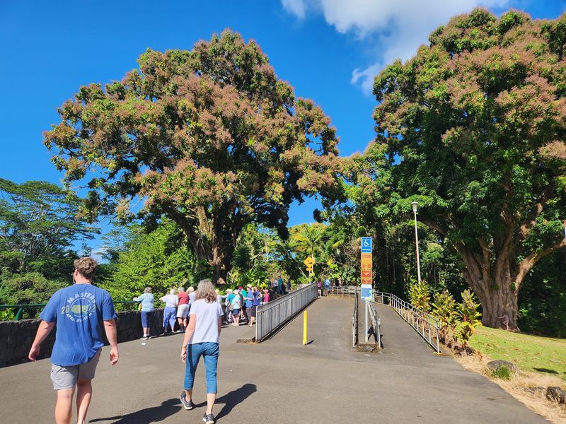 Parking, Restrooms, and the Bus Rush