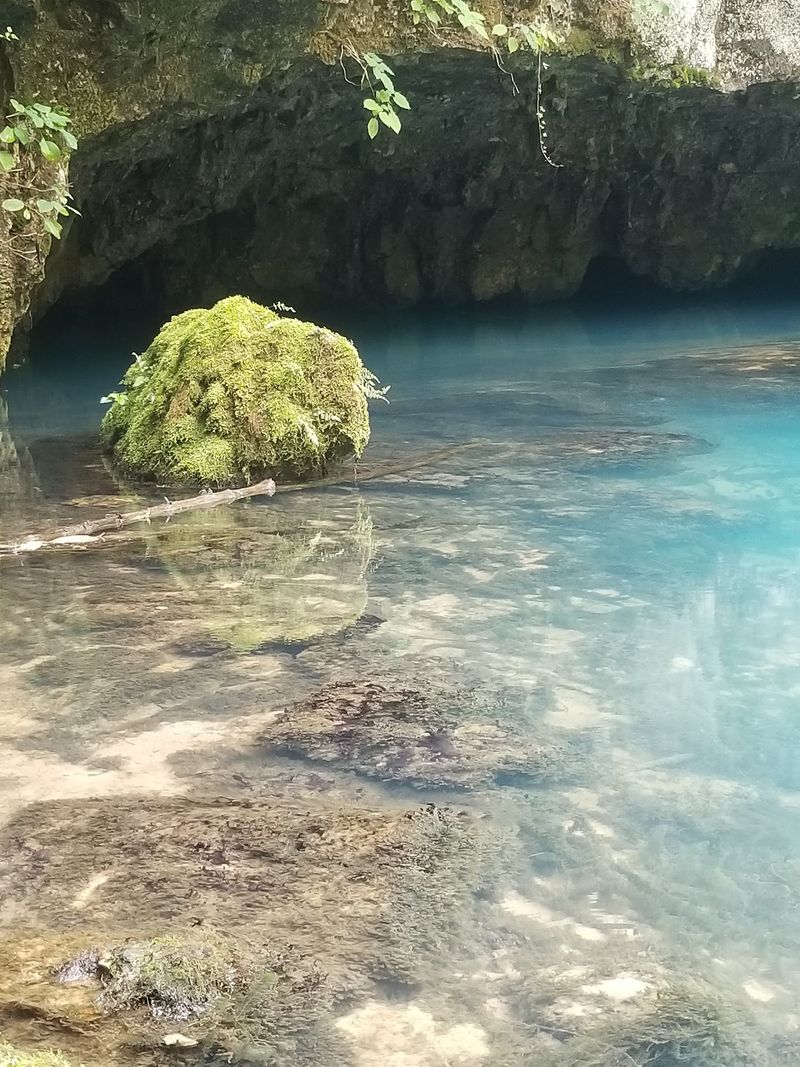 Part Of A Protected Riverway
